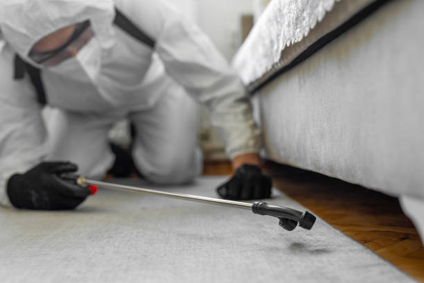 Professional Ant Control technician working in Key Center, WA