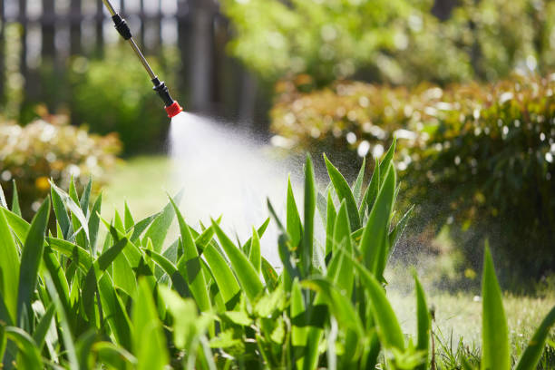24/7 Emergency Wasp Removal experts in Key Center, WA