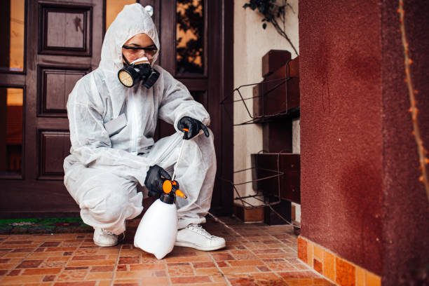 Reliable Wasp Removal contractor in Key Center, WA by Show Me Pest Control