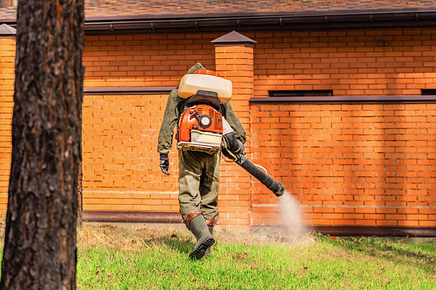 Top rated local Wasp Removal specialists in Key Center, WA
